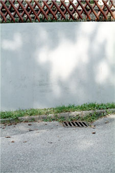 Vorschaubild: "mensch und natur" - analog 2010